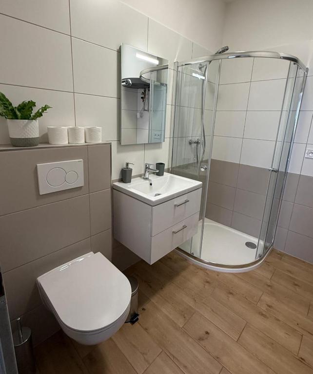 Moderní koupelna v Apartmánech U Kostela Uničov se sprchovým koutem