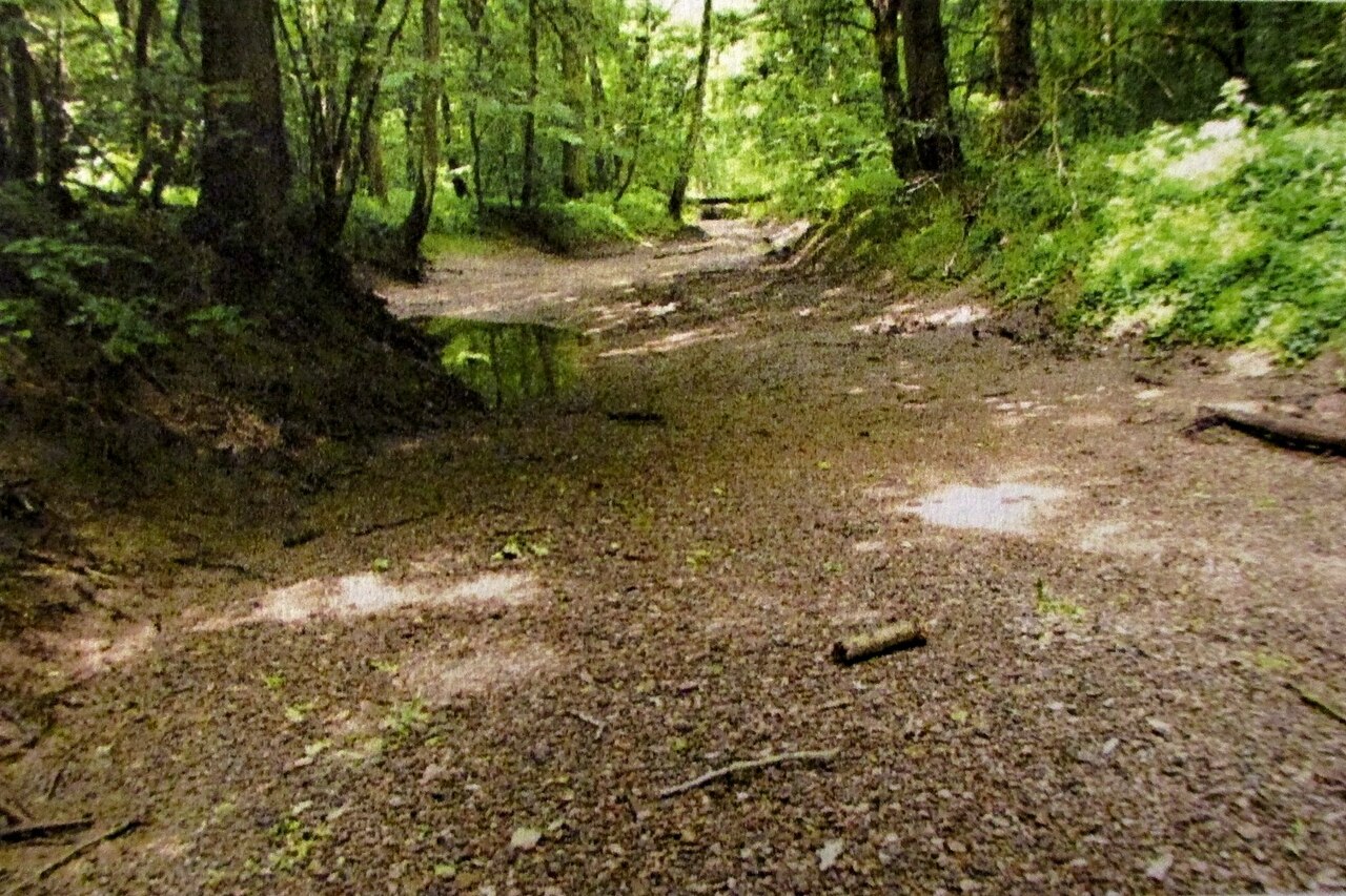 Litovelské Pomoraví s řekou Moravou a lužním lesem